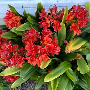 Meet your Posher, Maribel